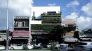 Nhà mặt tiền hướng Tây xanh mát quanh năm nhờ thiết kế vượt tầng tại Đà Nẵng